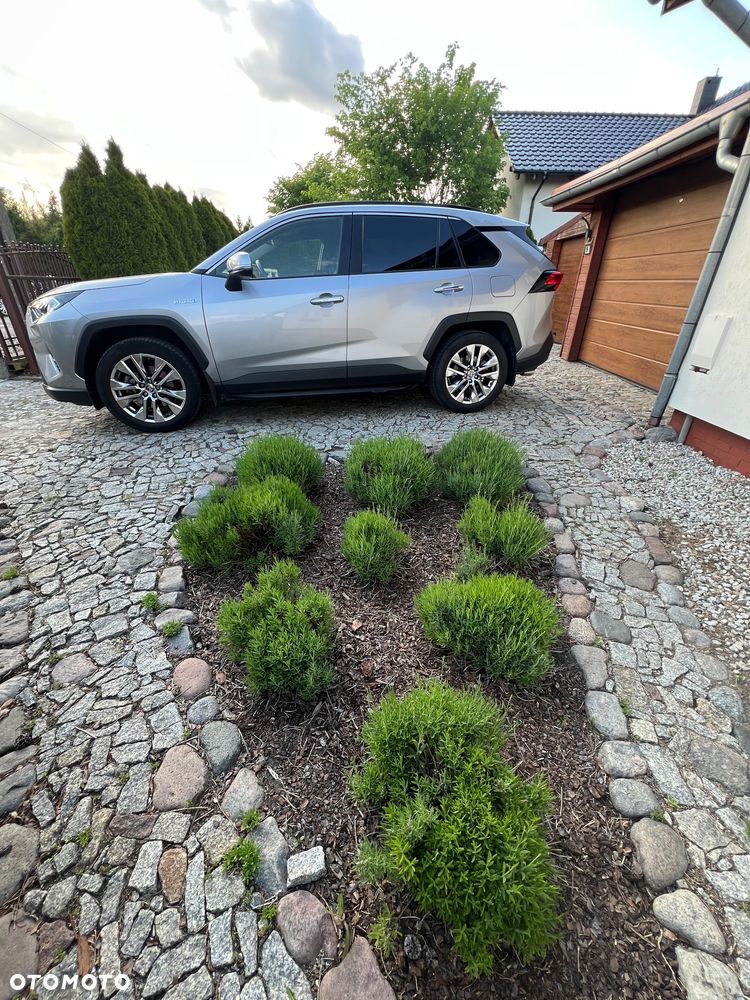 Toyota RAV4 2.5 Hybrid Executive 4x2 - 16