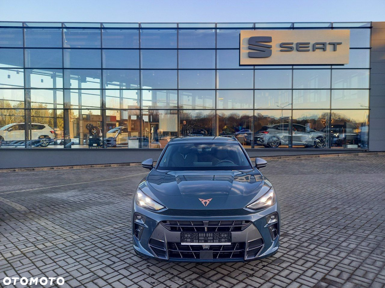 Cupra Terramar - 3