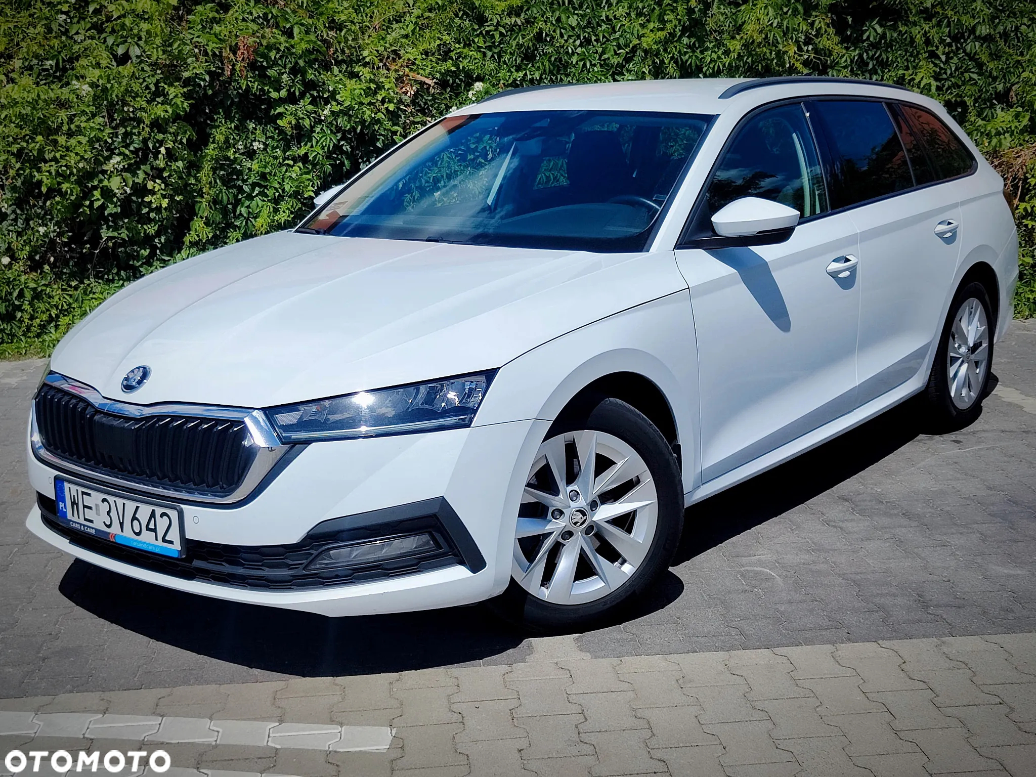 Skoda Octavia 1.5 TSI ACT Ambition DSG - 19