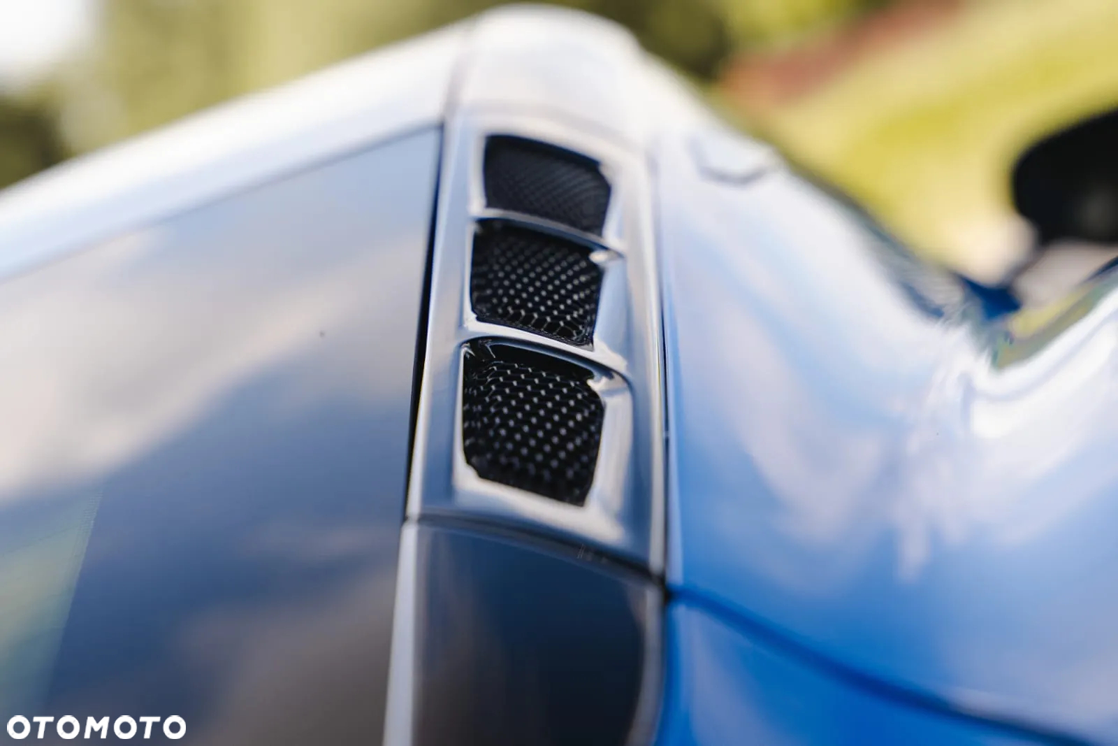 Lotus Inny - 17
