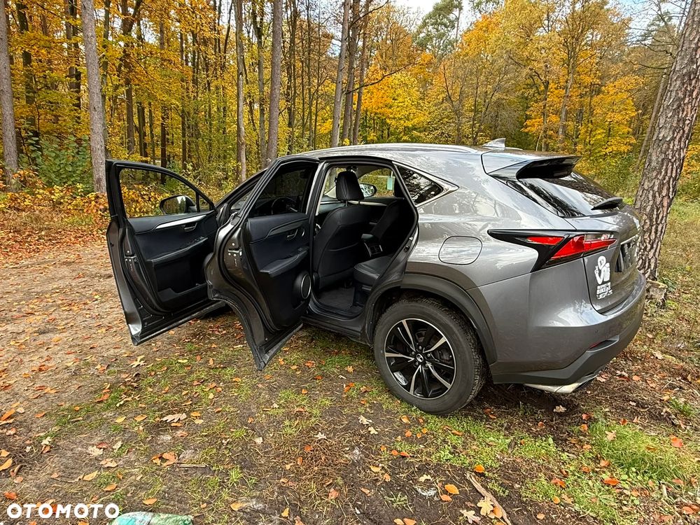 Lexus Nx 2017 photo 5