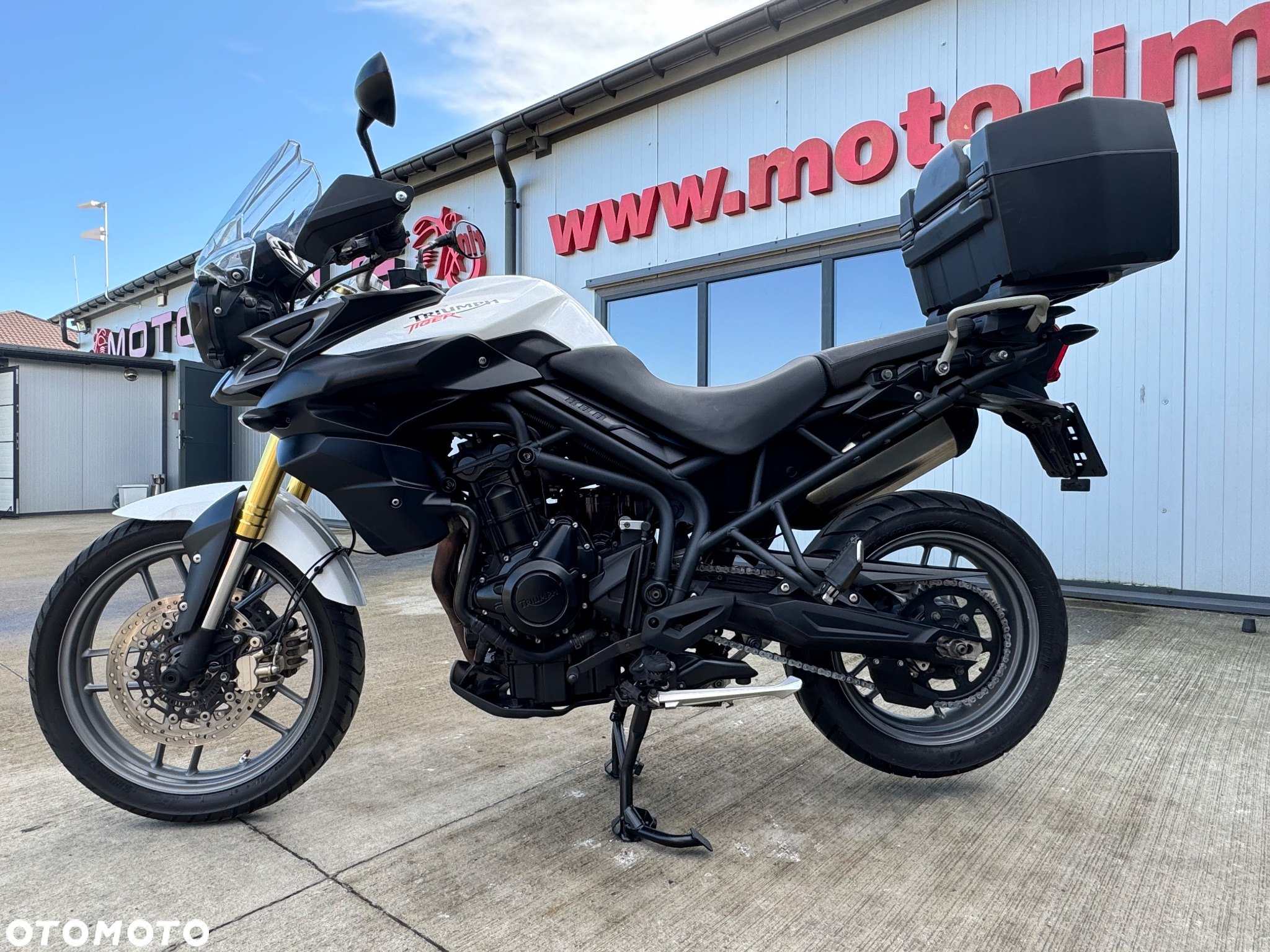 Triumph Tiger - 28