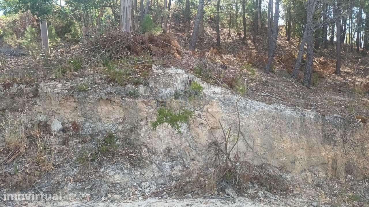 Terreno 1.850m2 || Arrabal - Grande imagem: 5/5