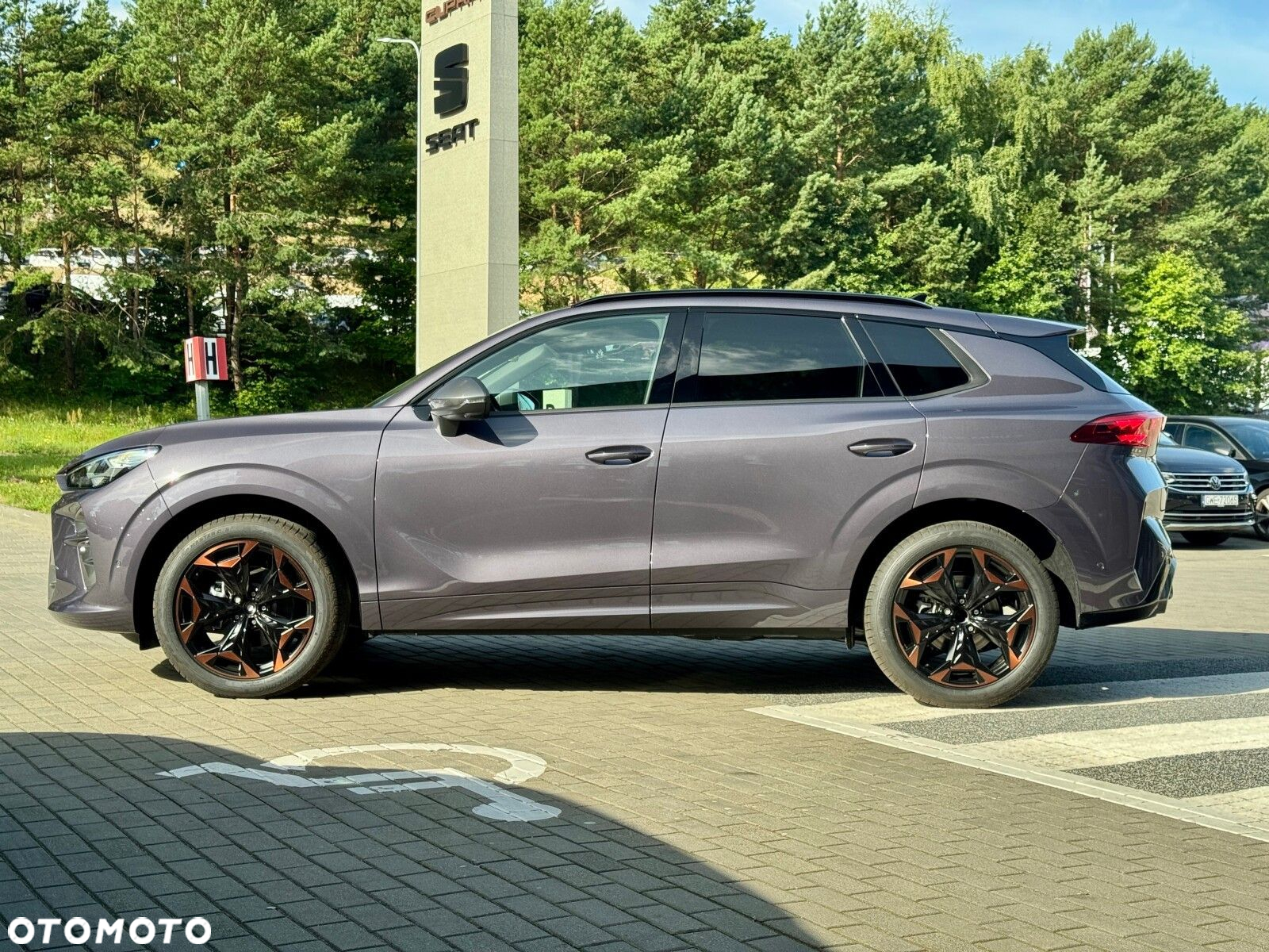 Cupra Terramar 1.5 eTSI mHEV DSG - 12