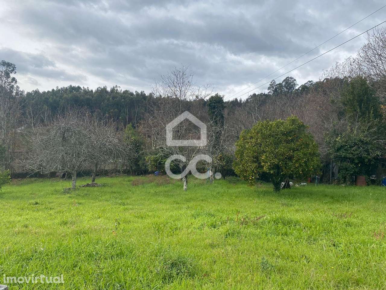 Terreno Agrícola em Gominhães - Grande imagem: 3/25