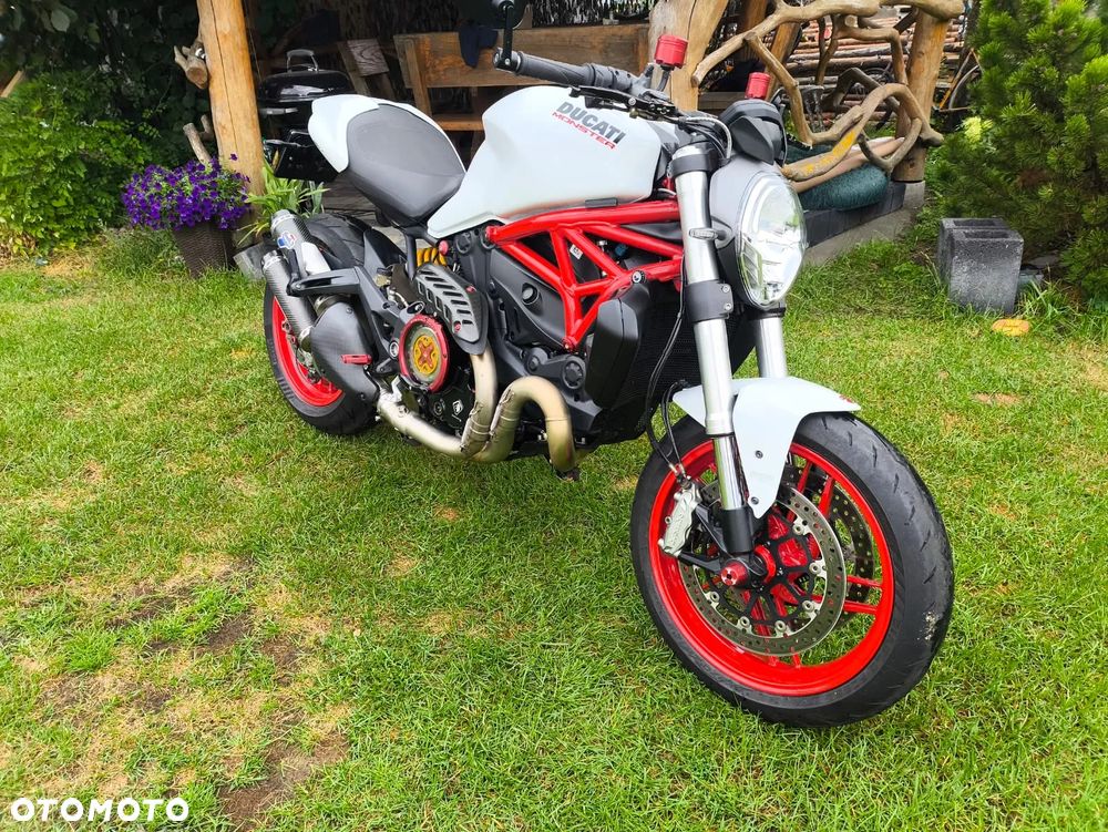Ducati Monster - 5