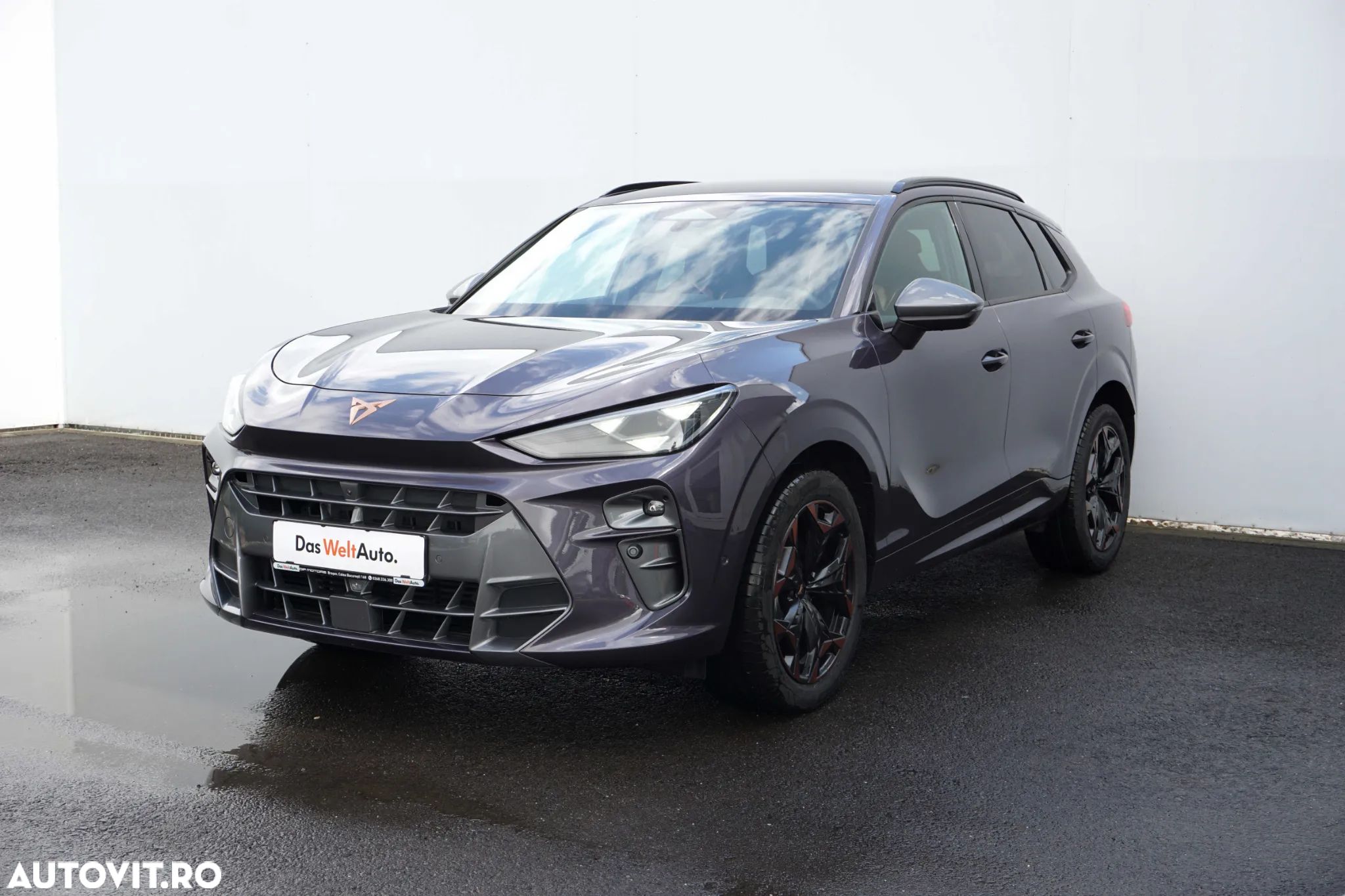 Cupra Terramar - 1