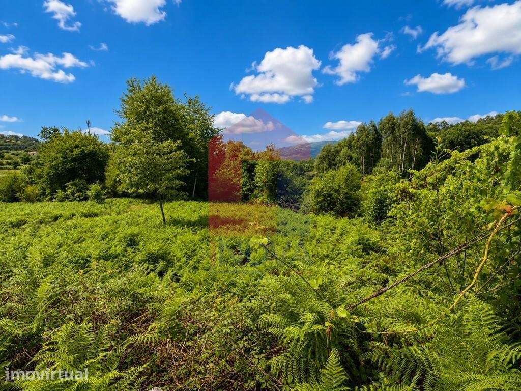 Terreno agrícola, Aboim da Nóbrega - Grande imagem: 4/11