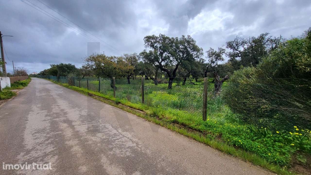 Terreno rústico - Grande imagem: 5/5