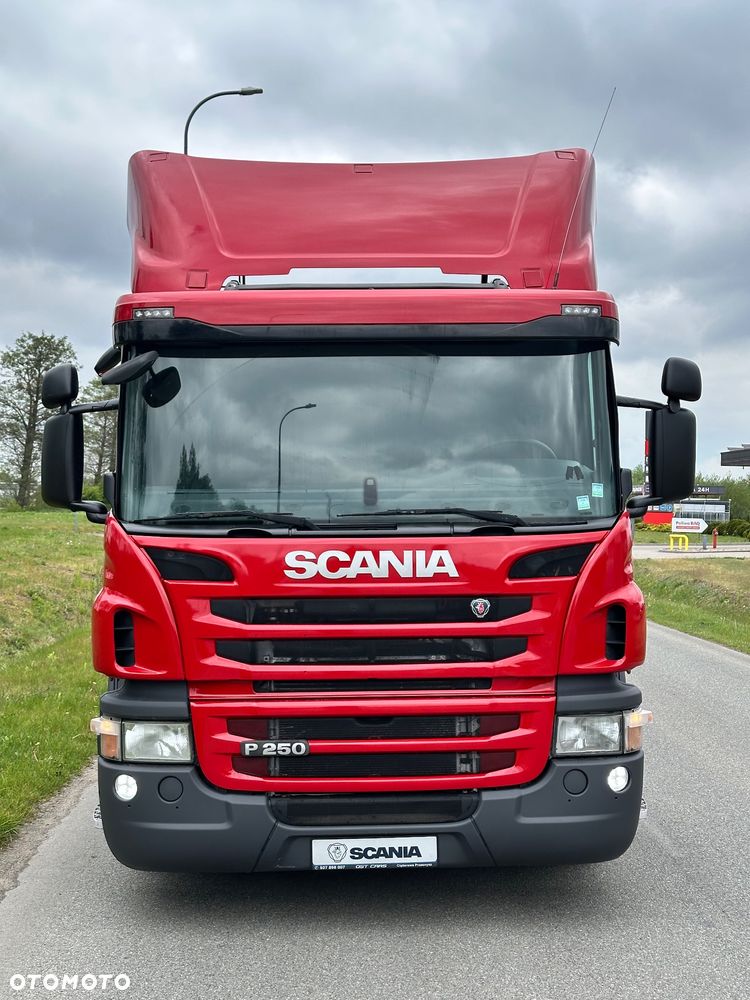 Scania P250 4x2 euro6 rama do zabudowy - 8