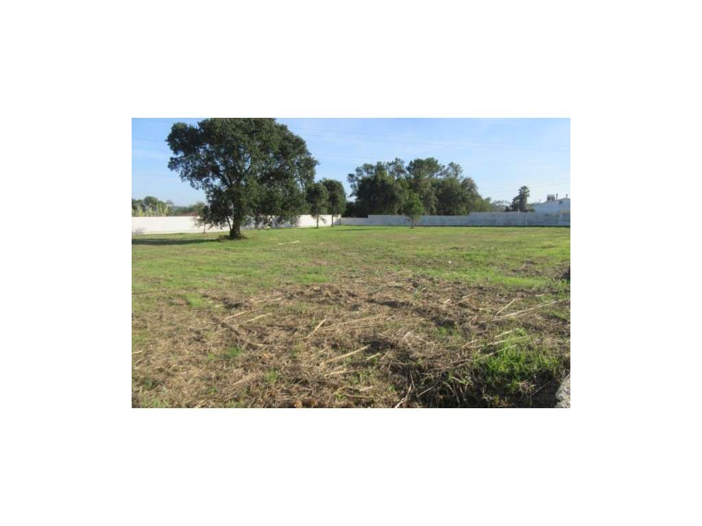 Terrenos para construção na zona de Monte Real - Grande imagem: 3/5