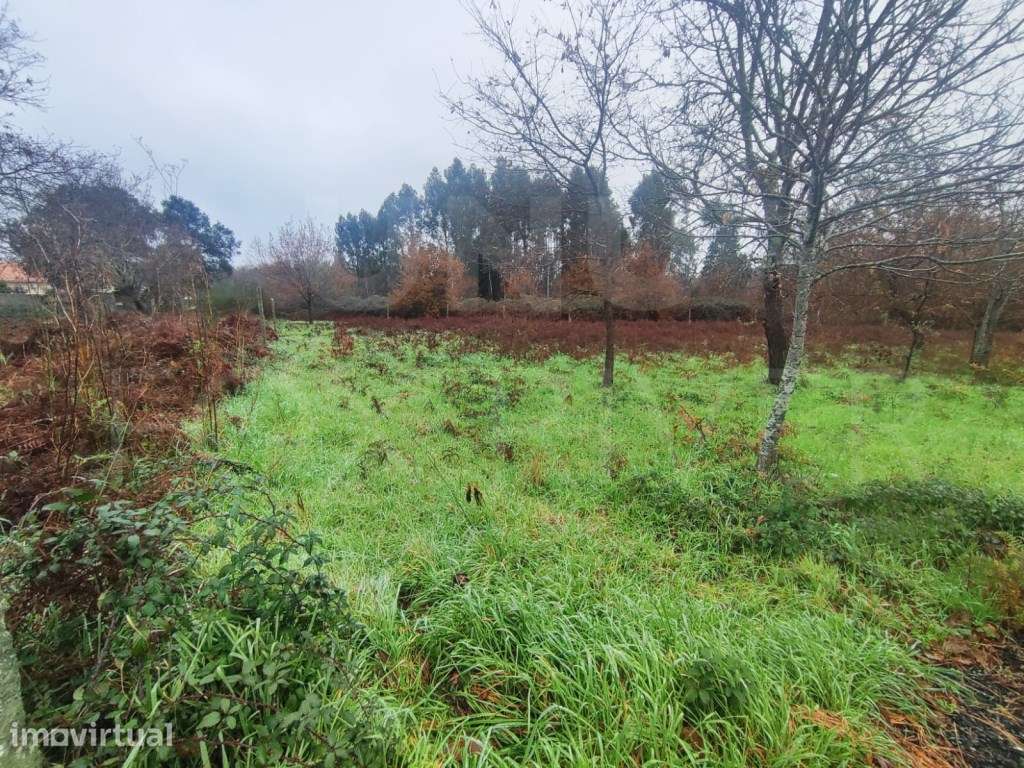 Terreno 1.592 m² em São Pedro da Torre . - Grande imagem: 2/5