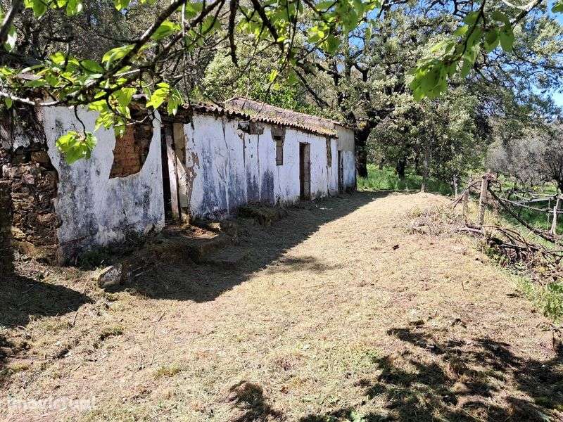 Quinta em São Salvador da Aramenha Marvão Portalegre Alto Alentejo - Grande imagem: 2/11