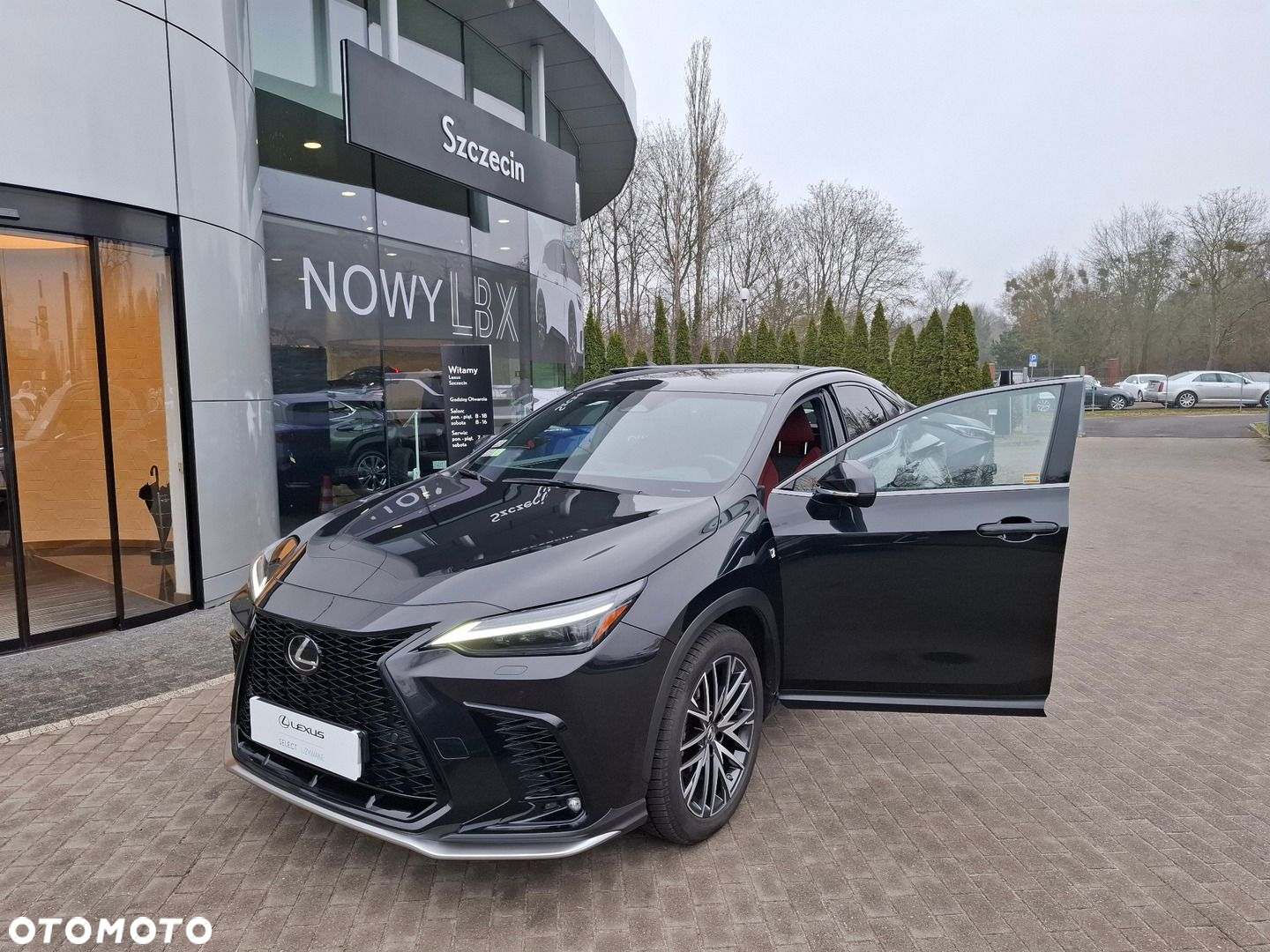 Lexus NX - 9