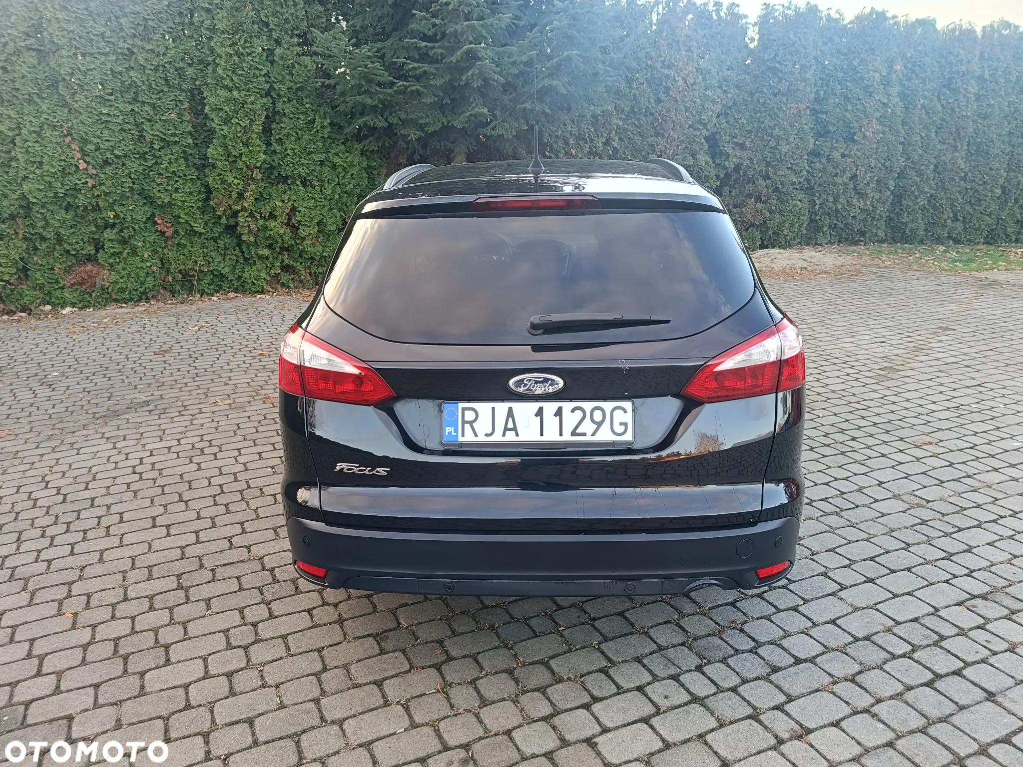 Ford Focus 1.6 TI-VCT Trend - 5