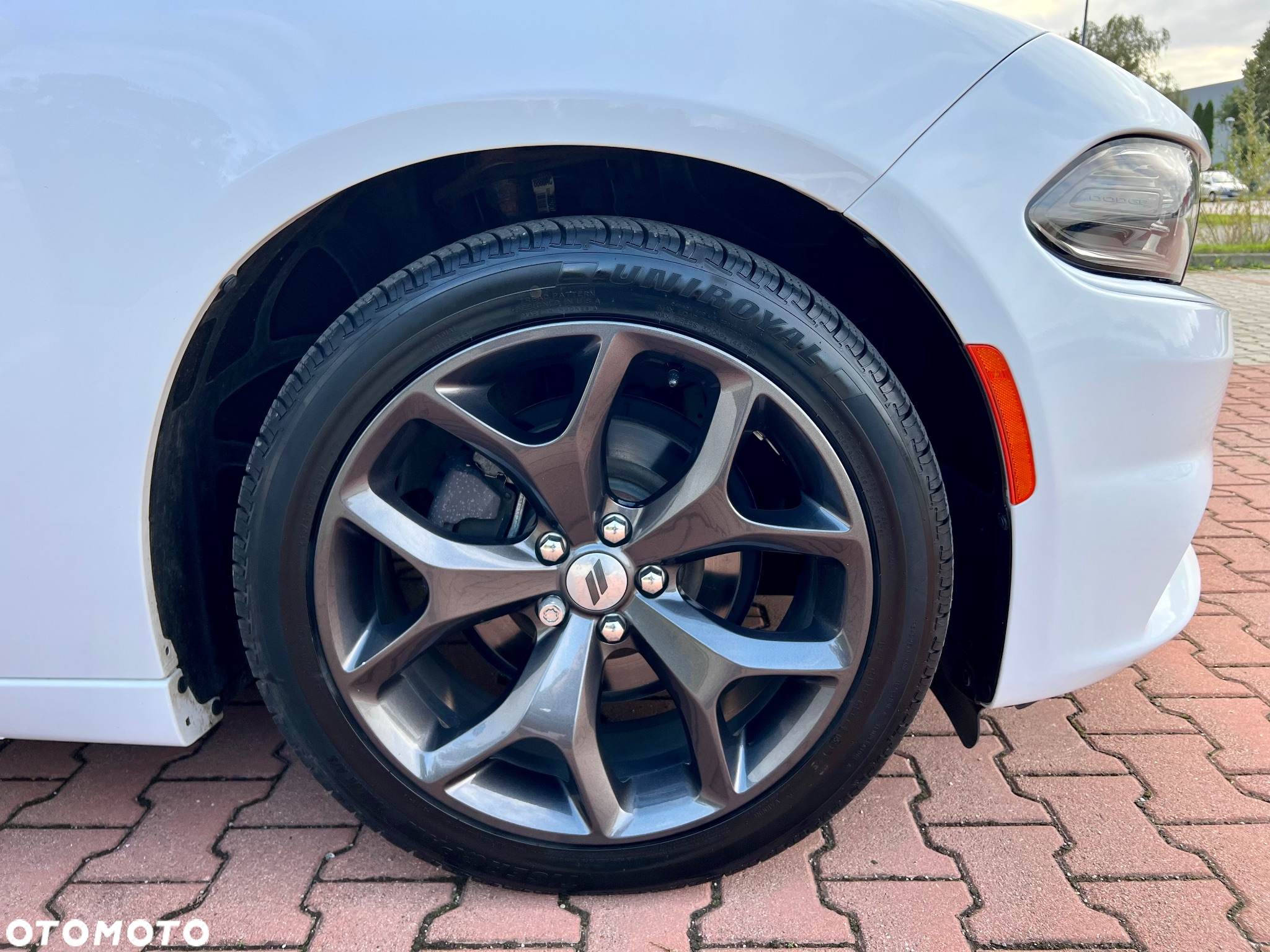 Dodge Charger - 22