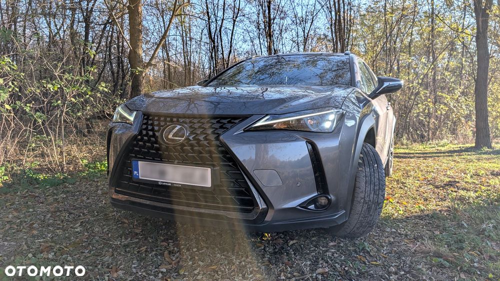 Lexus UX - 9