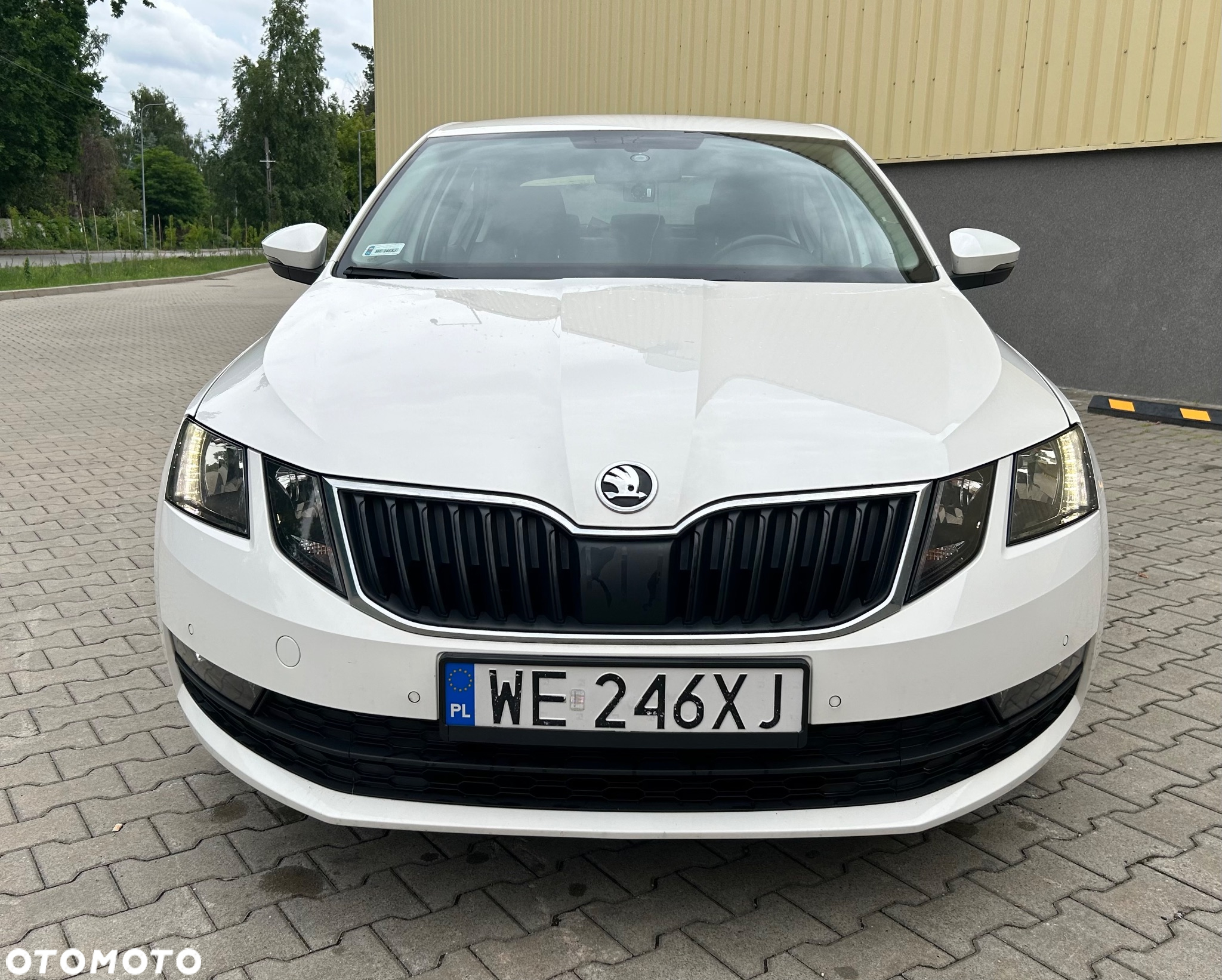 Skoda Octavia 1.6 TDI Ambition - 2