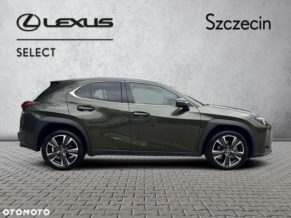 Lexus UX 300h Business - 6