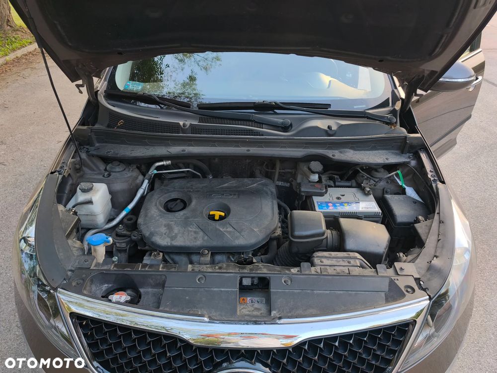 Kia Sportage 2.0 GDI L 2WD - 21