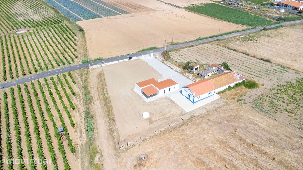 Quintinha c/Moradia T2, Anexos | lote 1.945,80 m² | S. Pedro Cadeira - Grande imagem: 3/44