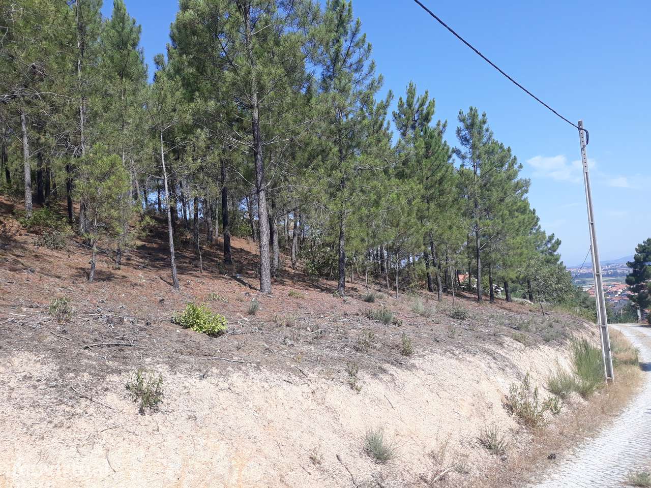 Terreno para construção com 1.000 m2 e projecto aprovado - Grande imagem: 2/5