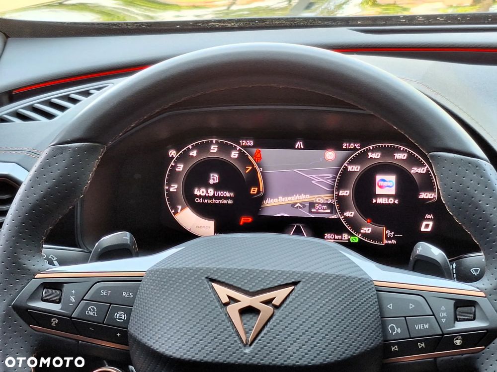 Cupra Formentor 2.0 TSI 4Drive DSG - 34