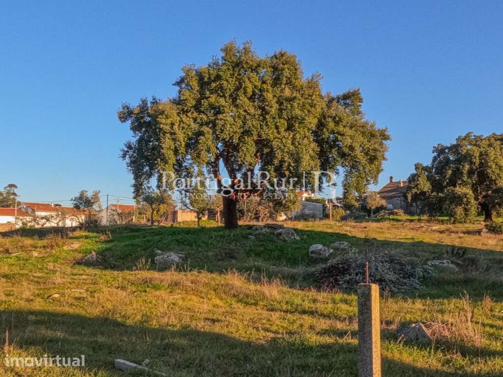 Quinta com 1,47 hectares em Alcains - Grande imagem: 3/39