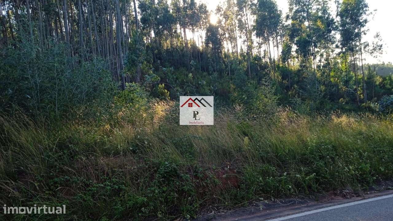 Lote de terreno para contrução a 2 minutos da estação de metro de - Grande imagem: 3/6