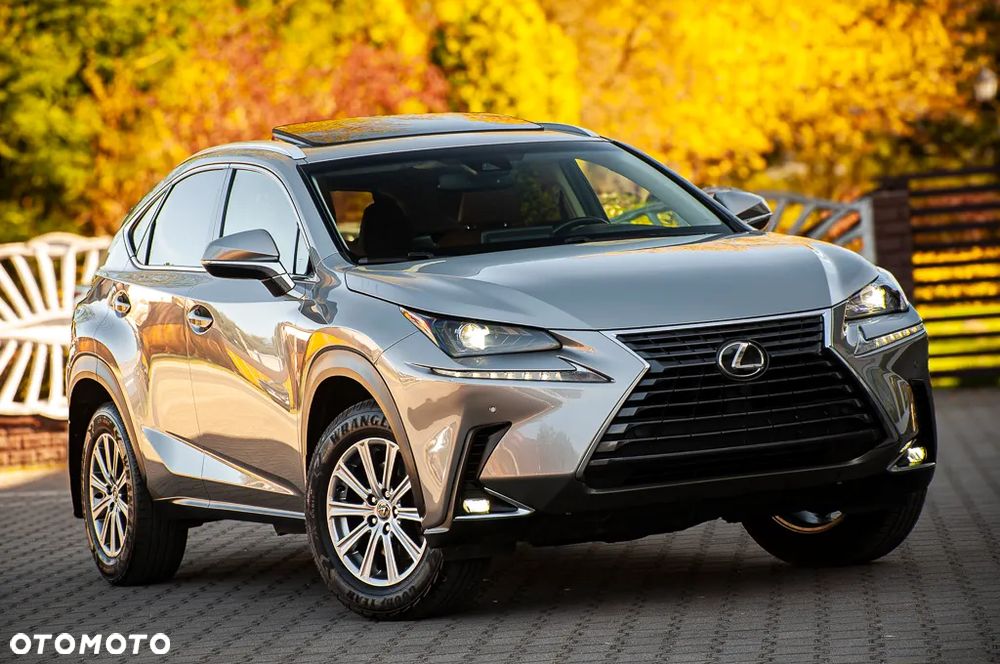 Lexus NX 300 AWD - 6