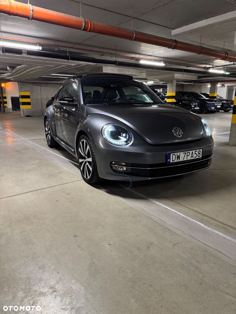 Volkswagen Beetle - 7