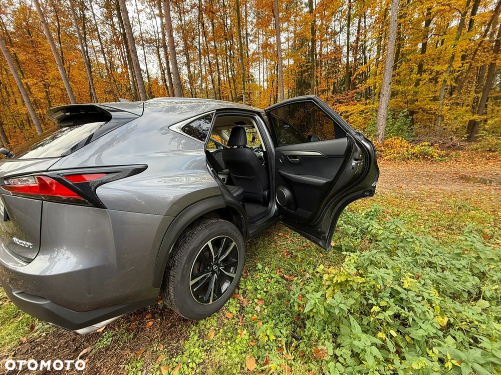 Lexus NX - 9