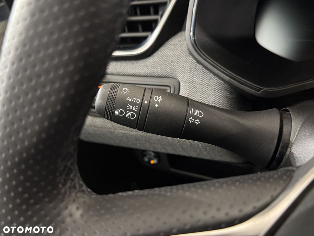 Renault Clio - 17