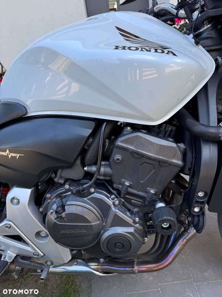 Honda Hornet - 5