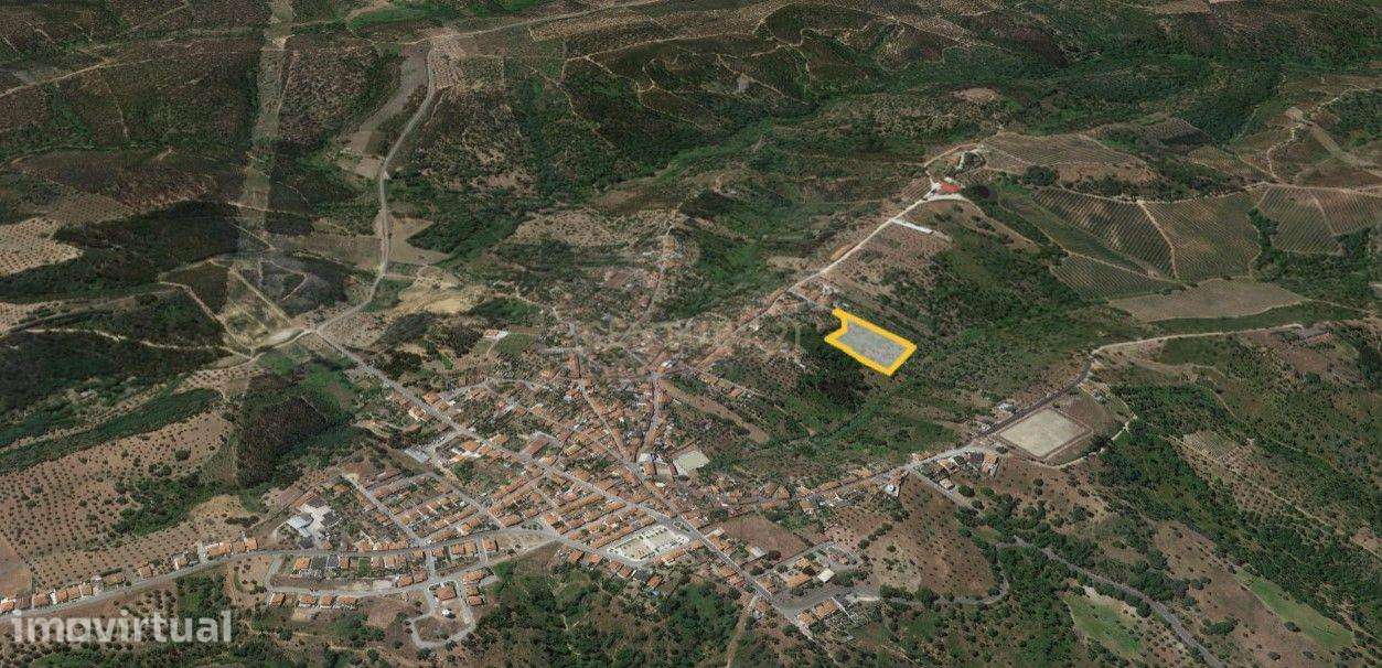 Terreno de 8280m² com cultura Arvense variada em Abrantes - Grande imagem: 3/11