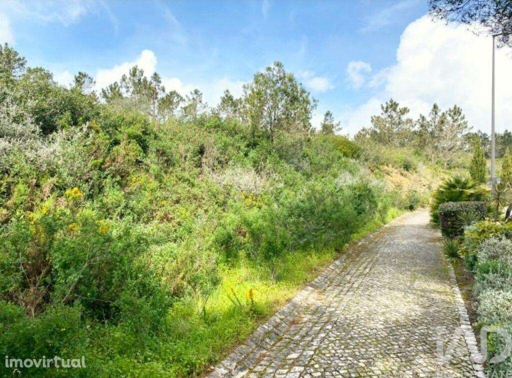 Terreno para construção em Queluz e Belas - Grande imagem: 3/19