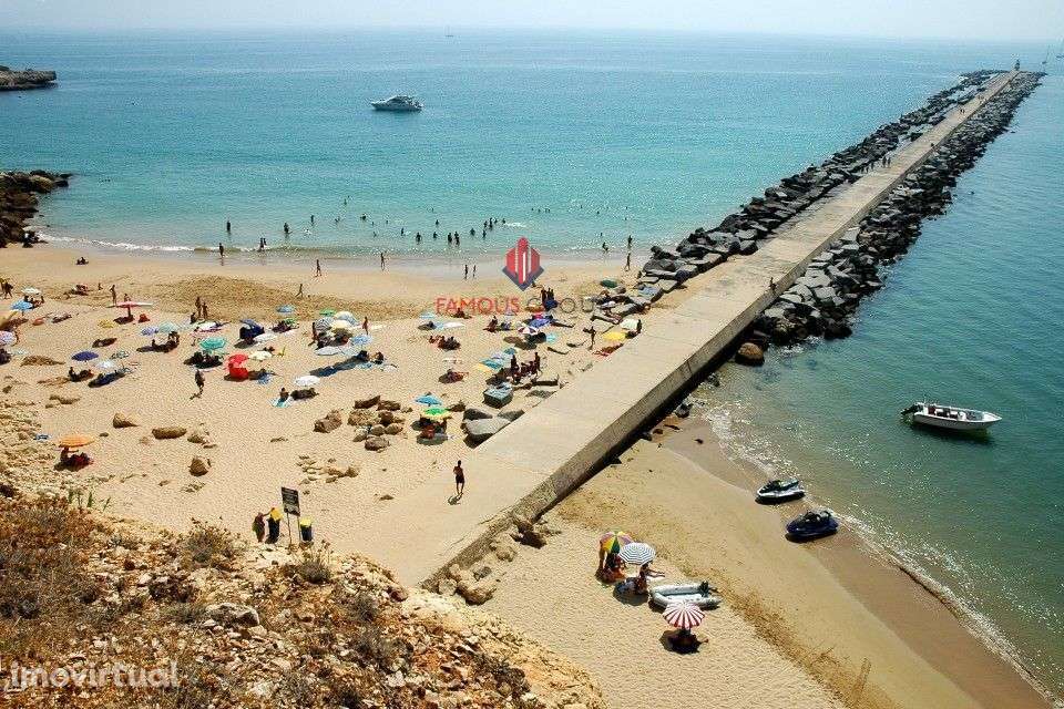 Loja - Grande imagem: 2/12