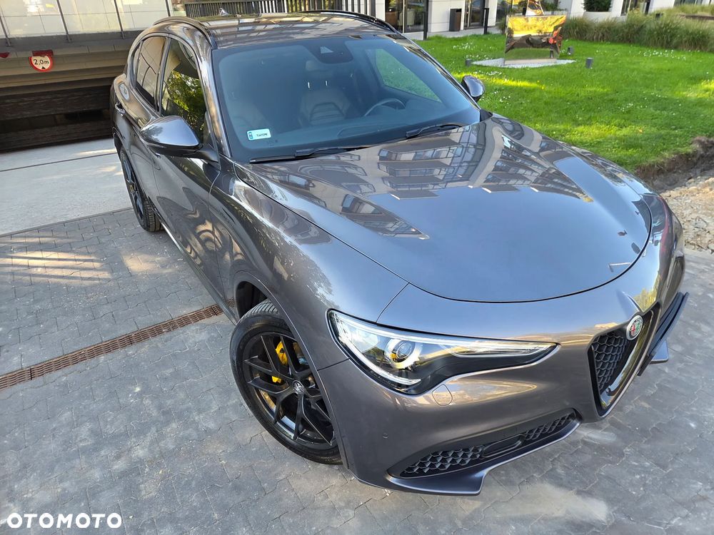 Alfa Romeo Stelvio 2.0 Turbo Veloce Q4 - 15