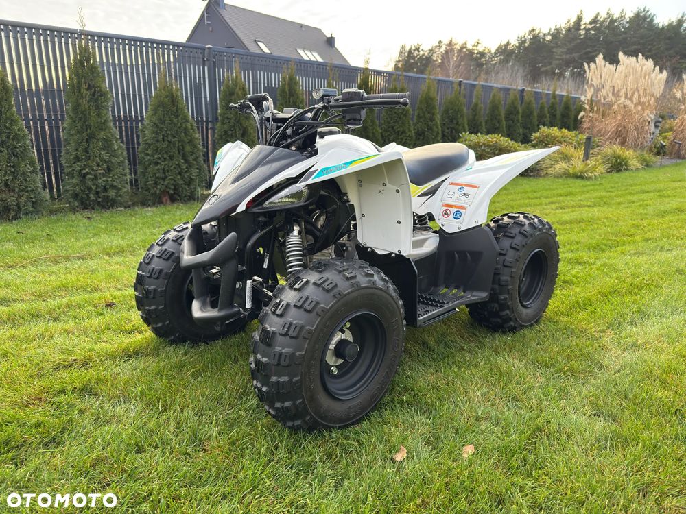 Yamaha YFZ