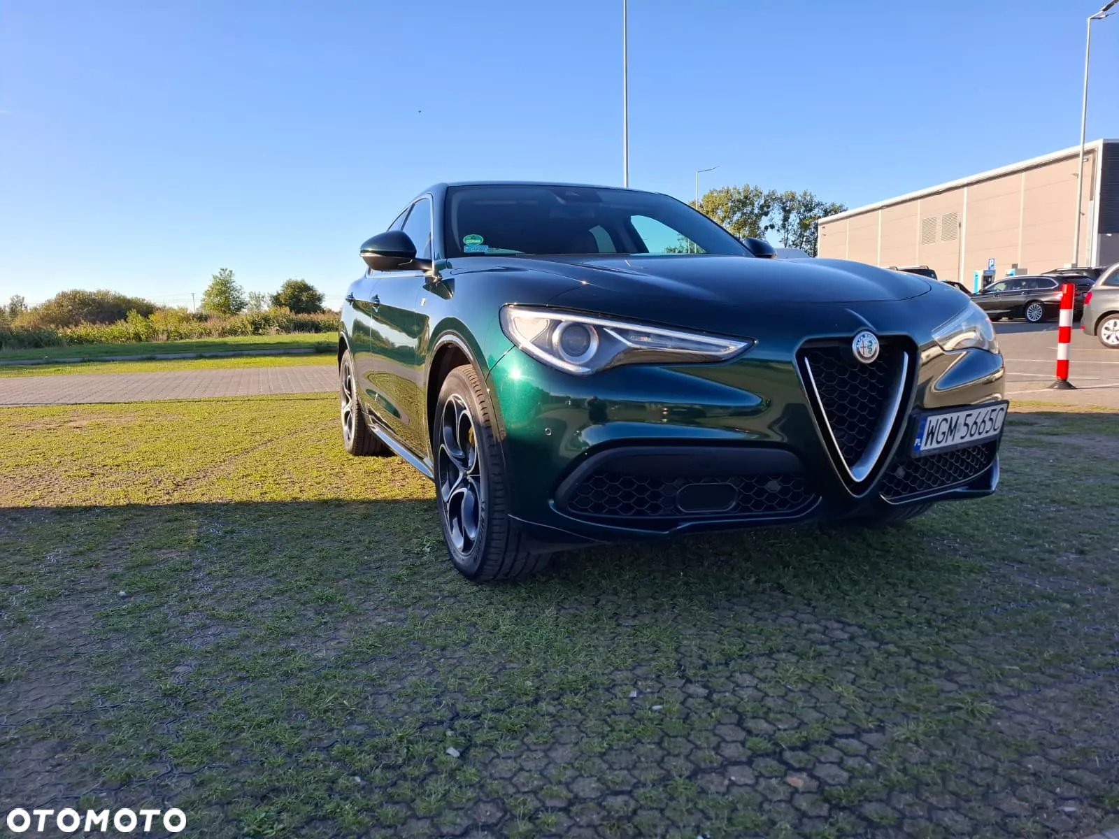 Alfa Romeo Stelvio 2.0 Turbo TI Q4 - 14