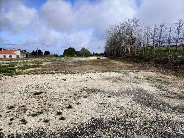 Terreno com Varias casas Cela Nova Alcobaça-Leiria - Grande imagem: 3/18