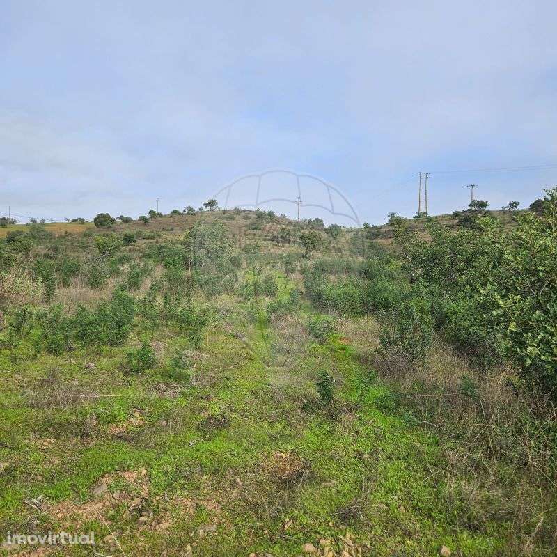 Terreno  para venda - Grande imagem: 3/19
