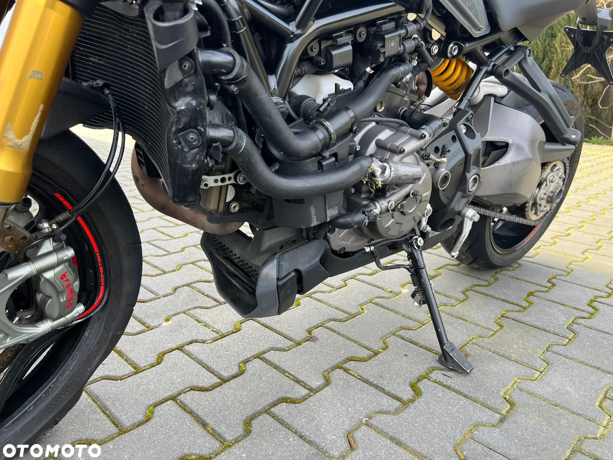 Ducati Monster - 16