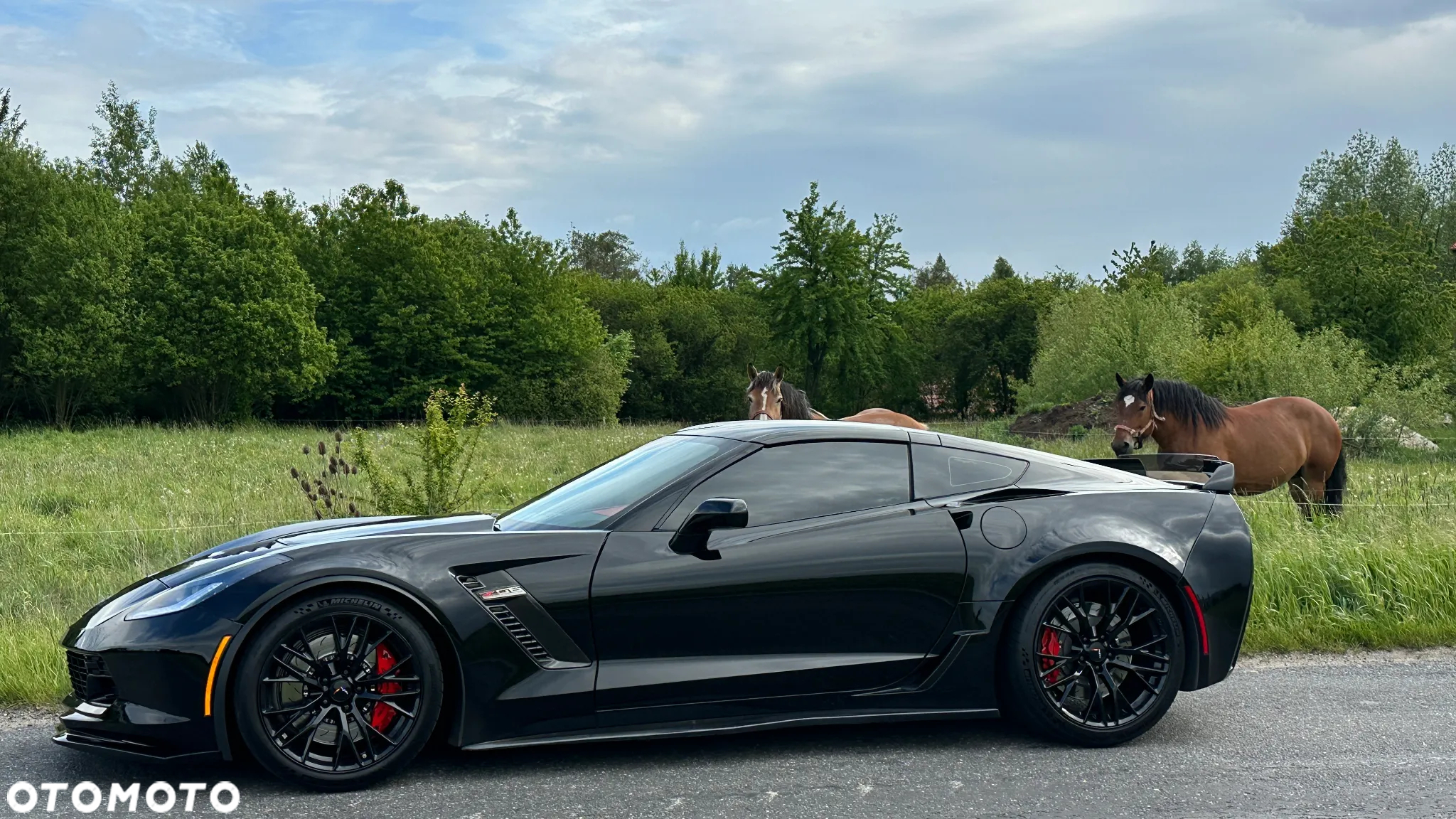 Chevrolet Corvette - 18