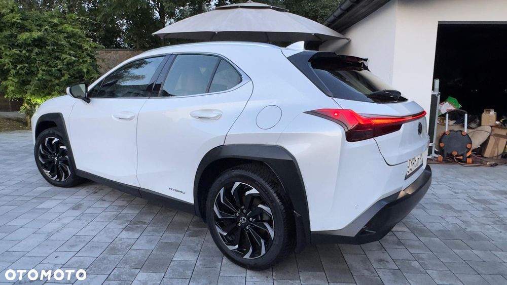 Lexus UX - 6