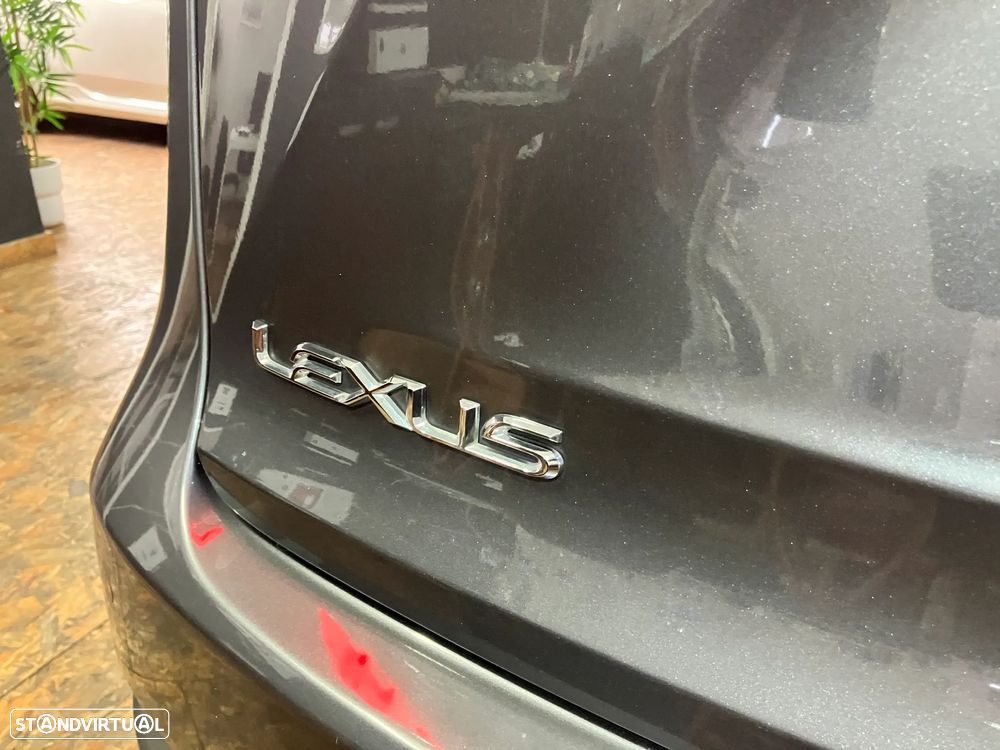 Lexus NX 300h Executive Plus - 15