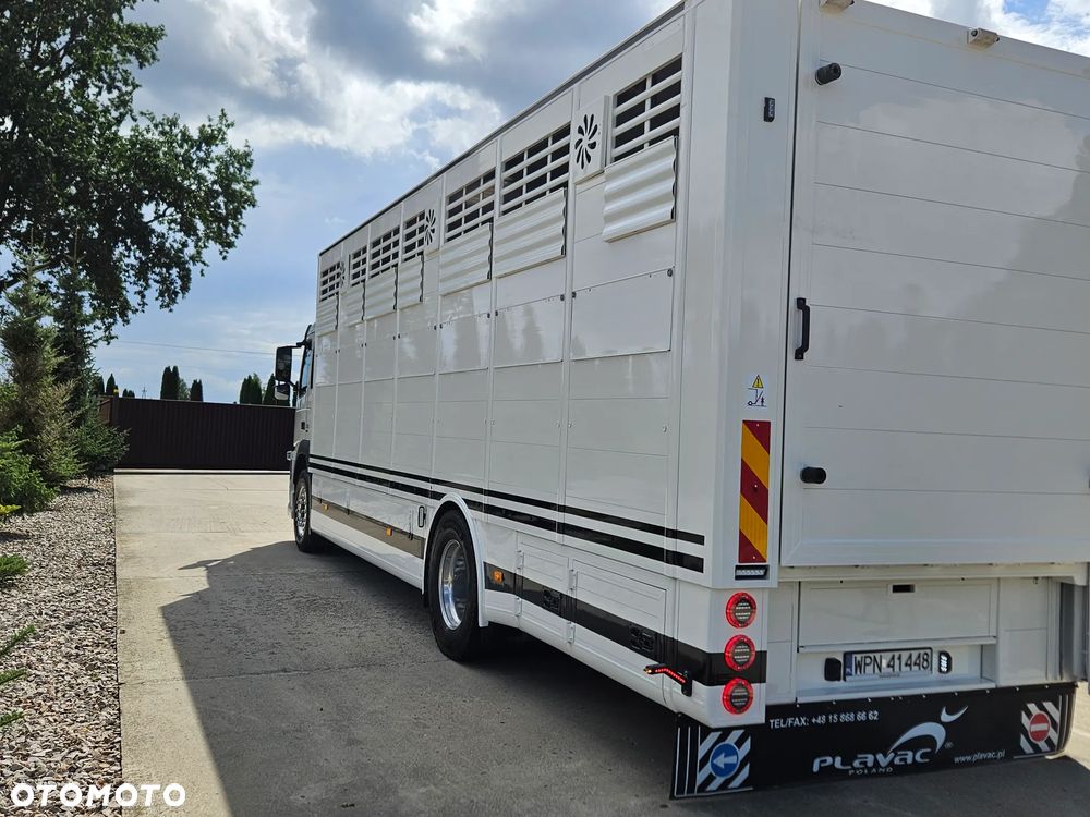 Volvo Do żywca zwierząt bydła - 6
