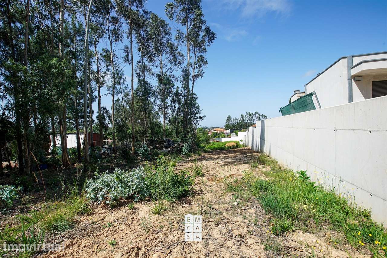 Terreno Para Construção  Venda em São Miguel do Souto e Mosteirô,Santa - Grande imagem: 5/16