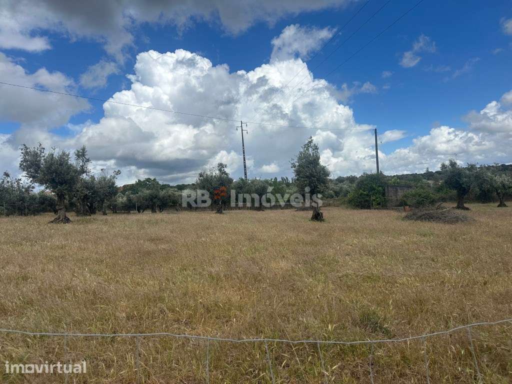 Terreno Rústico na Comenda com mais de 3.500 m² - Grande imagem: 3/7