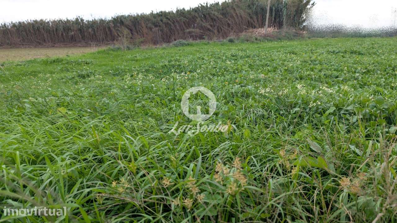 Terreno para moradias com 6.700m2 em Vilar, Vila do Conde - Grande imagem: 4/10